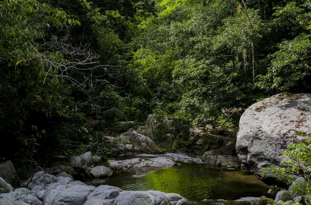 Tayrona Paradise Villa El Zaino Bagian luar foto
