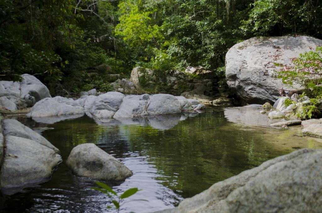 Tayrona Paradise Villa El Zaino Bagian luar foto